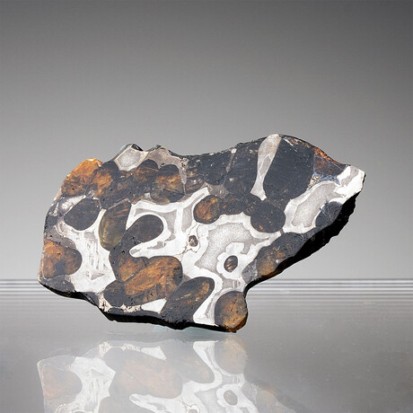 Brenham Pallasite Meteorite // Ver. 5