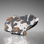 Brenham Pallasite Meteorite // Ver. 5