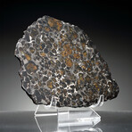 Brenham Pallasite Meteorite // Ver. 10