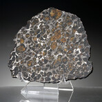 Brenham Pallasite Meteorite // Ver. 10