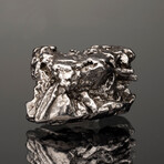 Campo del Cielo Meteorite // Ver. 4