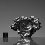 Campo del Cielo Meteorite // Ver. 6