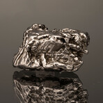 Campo del Cielo Meteorite // Ver. 4