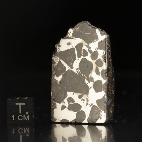 Brenham Pallasite Corner-Cut // Ver. 3