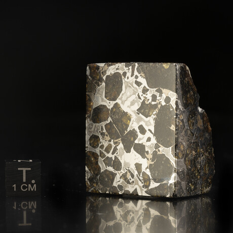 Brenham Pallasite Corner Cut // Ver. 1