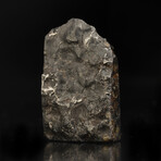 Brenham Pallasite Corner-Cut // Ver. 3