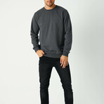 Larry Sweatshirt // Anthracite (S)