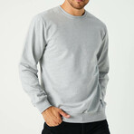 Larry Sweatshirt // Gray (3XL)