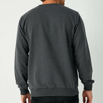 Larry Sweatshirt // Anthracite (S)