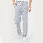 Haroon Sweatpants // Gray (L)