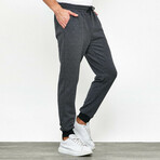 Harris Jogger // Gray (L)