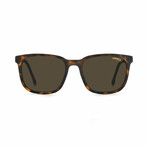 Carrera // Men's Plastic Full Rimsquare Sunglasses // Matte Havana + Brown