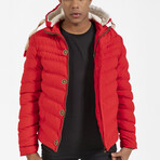 Nikita Jacket // Red (Small)