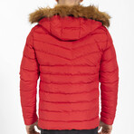 Jolanda Jacket // Red (Small)