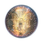 1995 American Silver Eagle // Sunset Toned // PCGS Certified MS68 // Deluxe Collector's Pouch