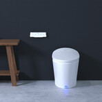 Discovery DLX Smart Bidet Toilet