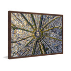 11abe0d28d558e4341a841c4671aa256 small