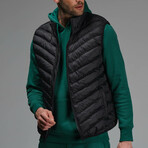 Henry Insulated Puffer Vest // Black (L)