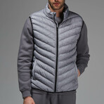 Josh Insulated Puffer Vest // Light Gray (L)