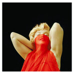 The Eseential Marilyn Monroe // Second Trade Edition