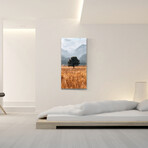 Vibrant Views // Sole Survivor (16"H x 48"W x 0.5"D)