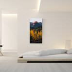 Vibrant Views // Colorado's Castles (16"H x 48"W x 0.5"D)