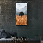 Vibrant Views // Sole Survivor (16"H x 48"W x 0.5"D)