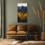 Vibrant Views // Colorado's Castles (16"H x 48"W x 0.5"D)