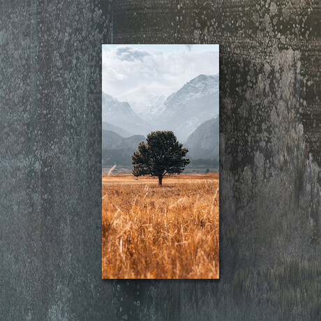 Vibrant Views // Sole Survivor (16"H x 48"W x 0.5"D)