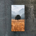 Vibrant Views // Sole Survivor (16"H x 48"W x 0.5"D)