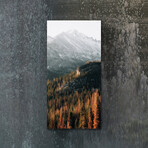 Vibrant Views // Pointy Pines (16"H x 48"W x 0.5"D)