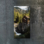 Vibrant Views // Forest Finds (16"H x 48"W x 0.5"D)