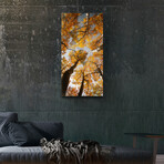 Vibrant Views // Among Aspens (16"H x 48"W x 0.5"D)