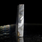 Seymchan Pallasite Meteorite + Olivine // Self Standing // Medium