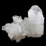 Terminated Clear Apophyllite Crystal Cluster // Large