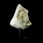 Petite Amethyst Agate // Stand Mounted