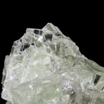 Cubic Flourite Crystal Cluster Formation // Clear Light Green // Large