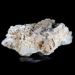 Translucent Amethyst Chalcedony Geode