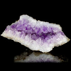 Translucent Amethyst Chalcedony Geode