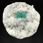 Terminated Marshy Apophyllite + Calcite On White Chalcedony