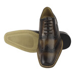 Aaron Dress Shoes // Brown (US: 6)