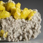 Natural Sulfur Crystal Clusters In Aragonite Covered Matrix + Acrylic Display Stand