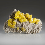 Natural Sulfur Crystal Clusters In Aragonite Covered Matrix + Acrylic Display Stand