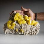 Natural Sulfur Crystal Clusters In Aragonite Covered Matrix + Acrylic Display Stand