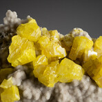 Natural Sulfur Crystal Clusters In Aragonite Covered Matrix + Acrylic Display Stand