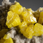 Natural Sulfur Crystal Clusters In Aragonite Covered Matrix + Acrylic Display Stand