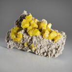 Natural Sulfur Crystal Clusters In Aragonite Covered Matrix + Acrylic Display Stand