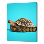 Tortoise Tank (10"H x 8"W x 0.75"D)