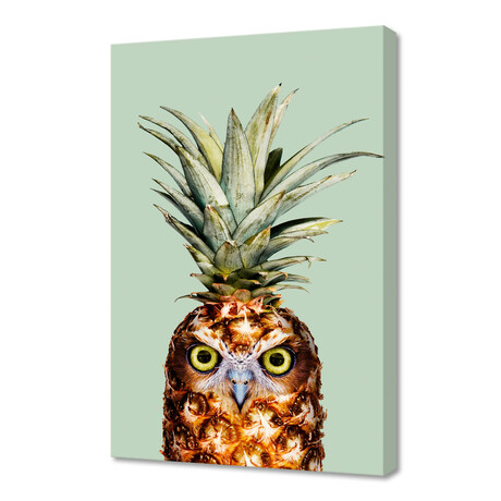 Pineapple Owl (12"W x 8"H x 0.75"D)