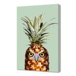 Pineapple Owl (12"W x 8"H x 0.75"D)